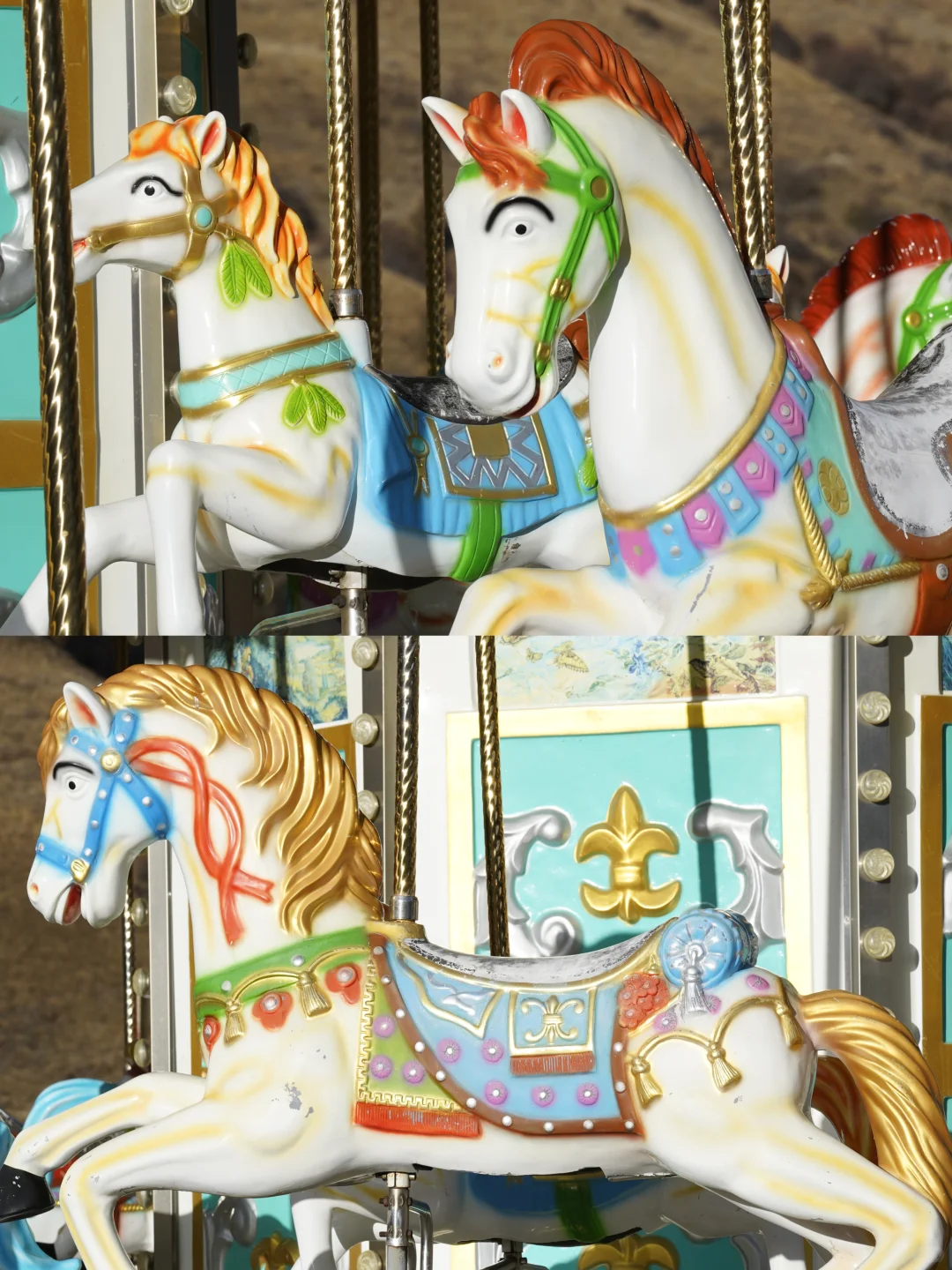 成都出发3.5h!在鹧鸪山找到《情书》同款冬日