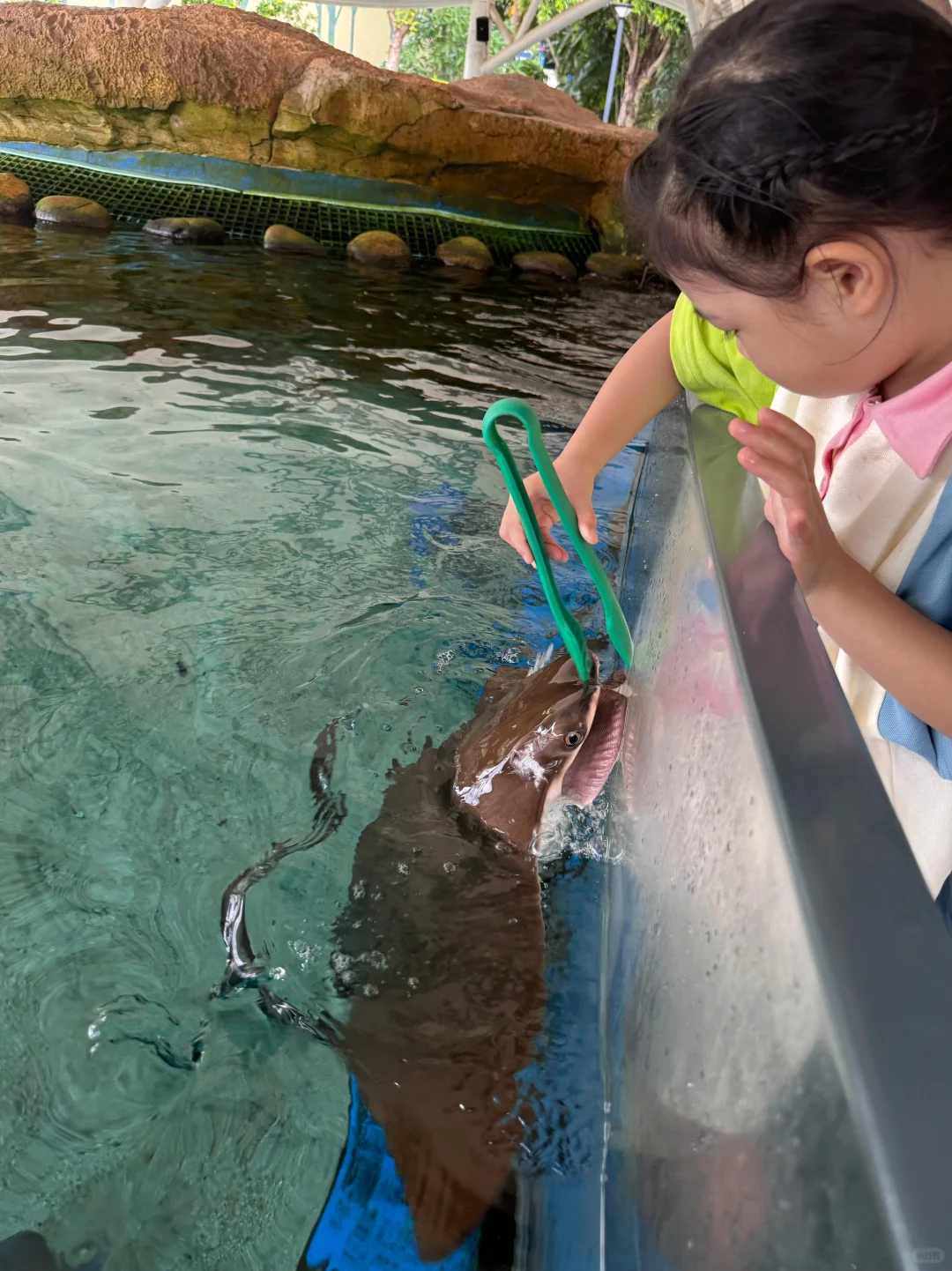 今年寒假，我只带娃去一个地方：陵水❗️