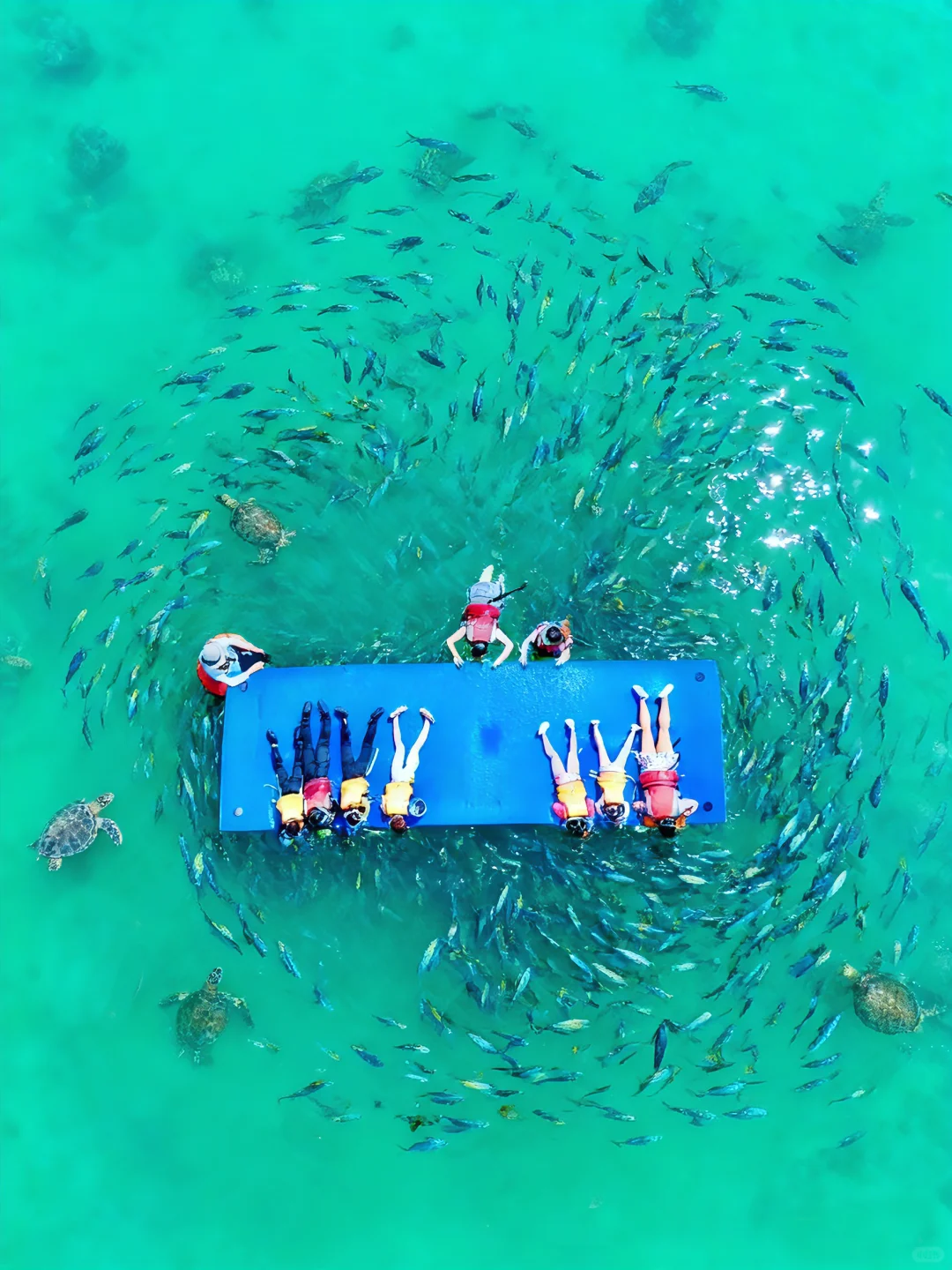 今年寒假，我只带娃去一个地方：陵水❗️