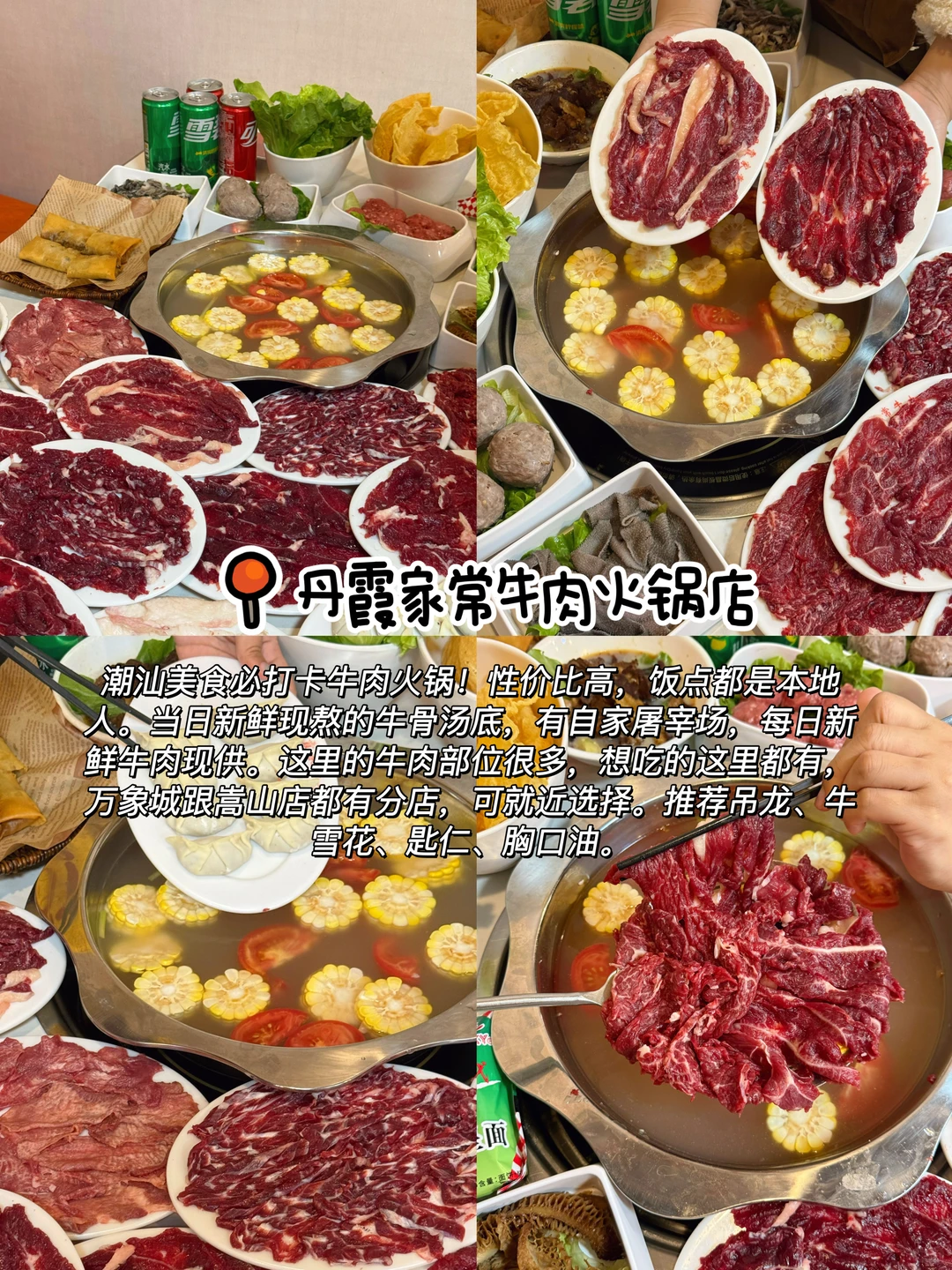 感谢汕头网友推荐！这12家果然没让我失望！