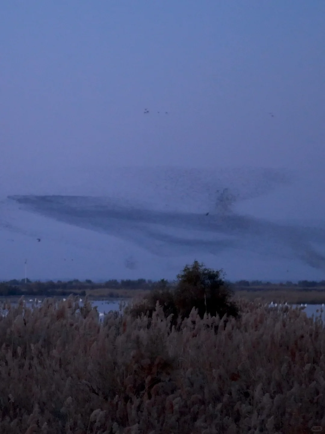 迄今为止 ，山东我最喜欢的小城出现了！！！