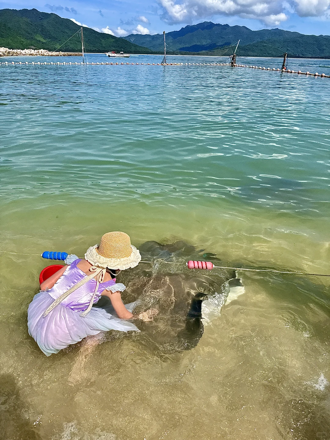 今年寒假，我只带娃去一个地方：陵水❗️