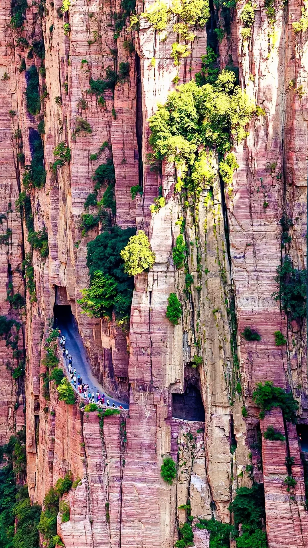 来河南必看景点！