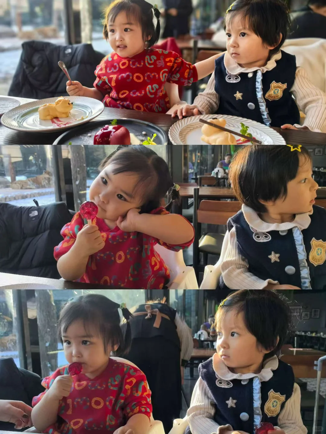 二刷虎乐园，娃玩到天黑不肯回家