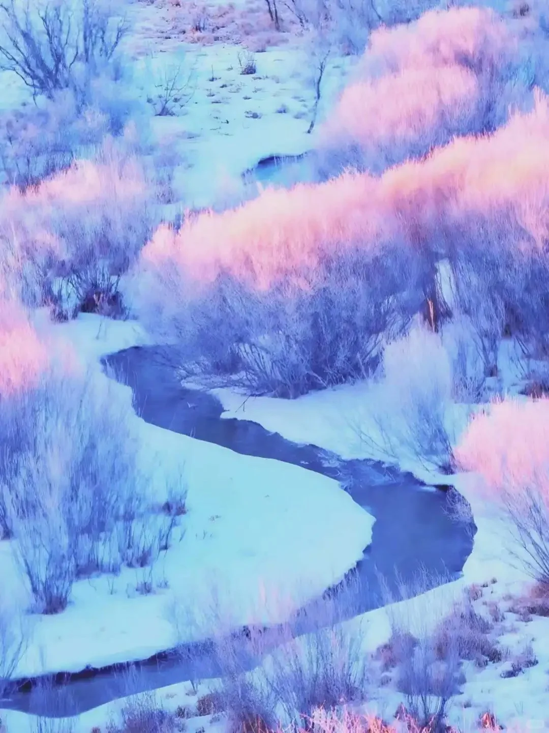 草原美食+纯玩|乌兰布统攻略
