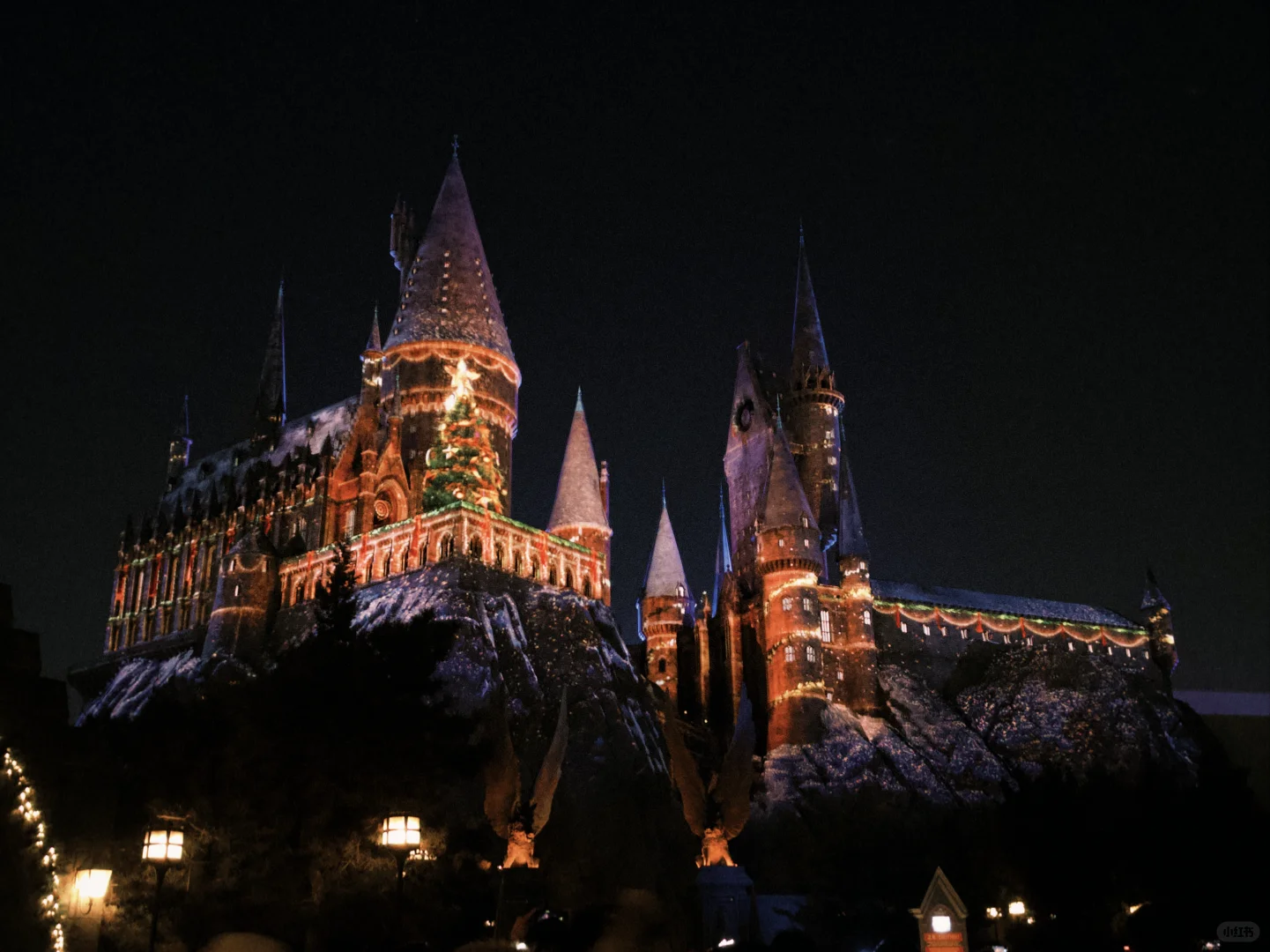 12.14北环新鲜最强玩后感