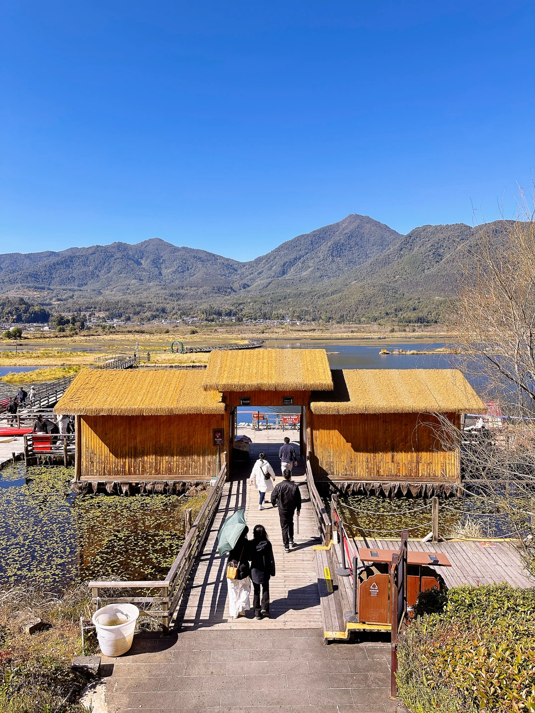 我们都喜欢玩不一样的地形 | 腾冲北海湿地