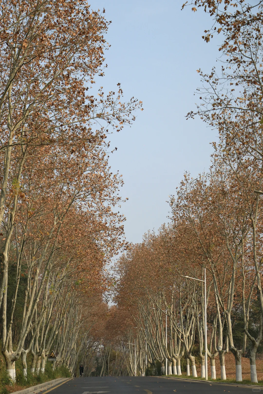 广东佬南京苏州旅游一星期总结