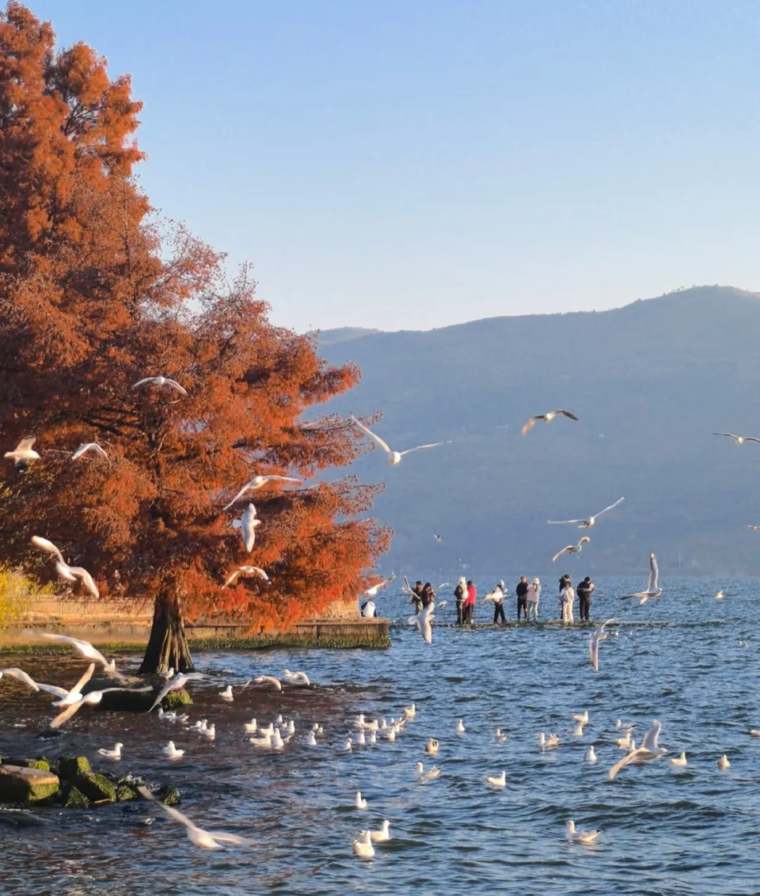 这个季节旅游去哪比较好？