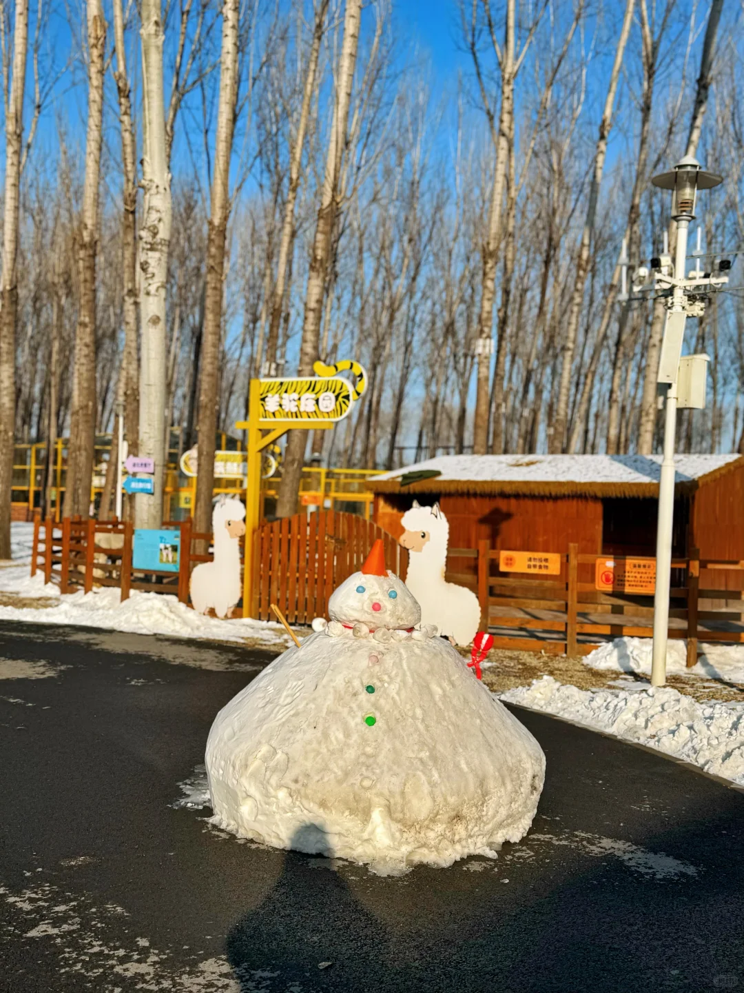 二刷虎乐园，娃玩到天黑不肯回家