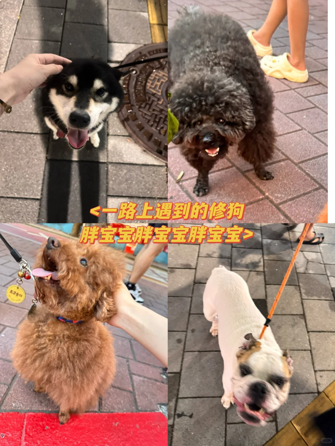 ♡₊𝗦𝗲𝗼𝘂𝗹ɞ°☁️韩国自由行保姆级旅游攻略