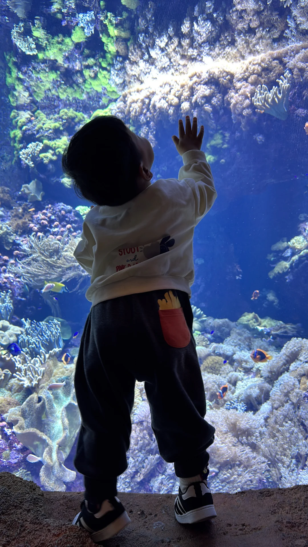 2岁娃长隆飞船乐园，随性游～