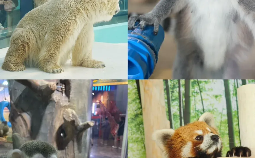 人均500💰哈尔滨3天2晚❄️自由行攻略（详细版