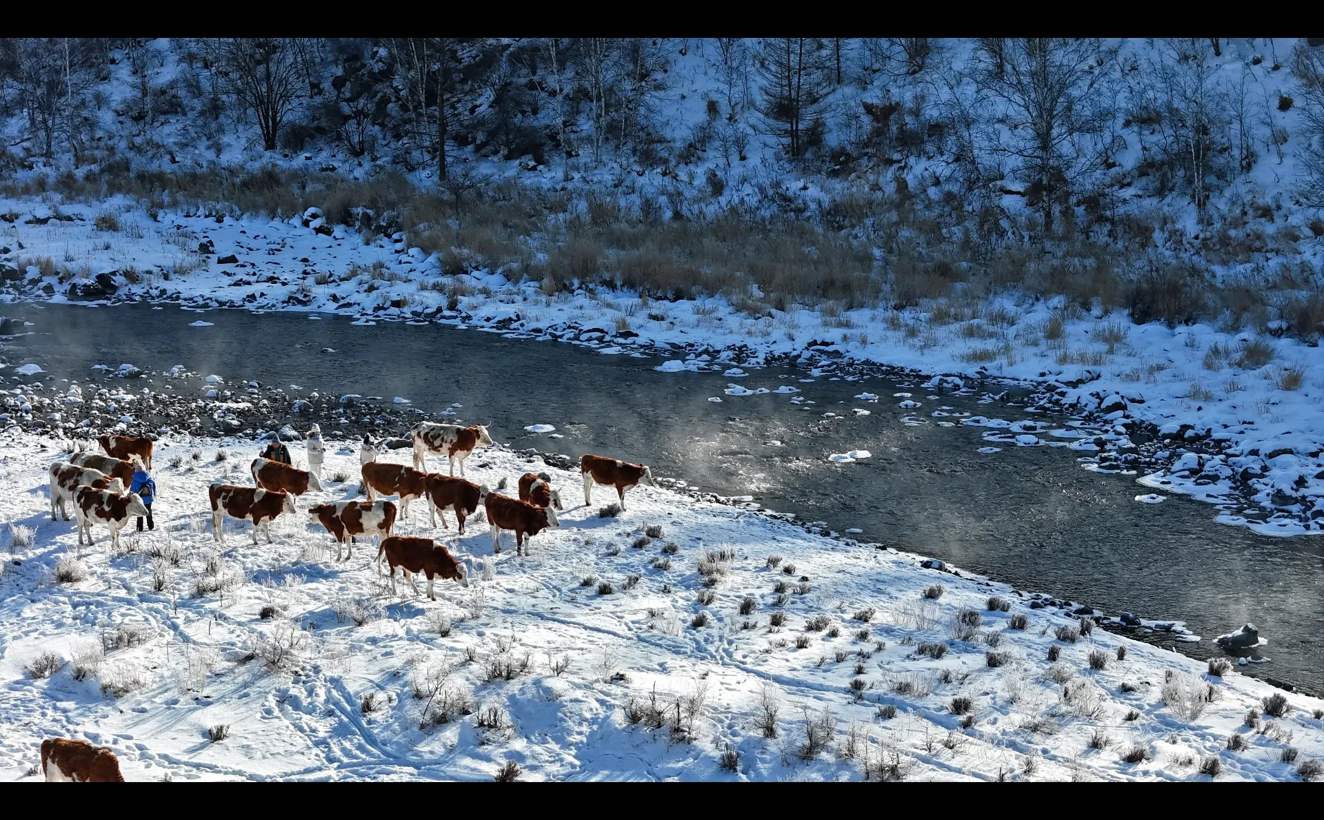 2025 年元旦好去处🎉阿尔山三日保姆级攻略