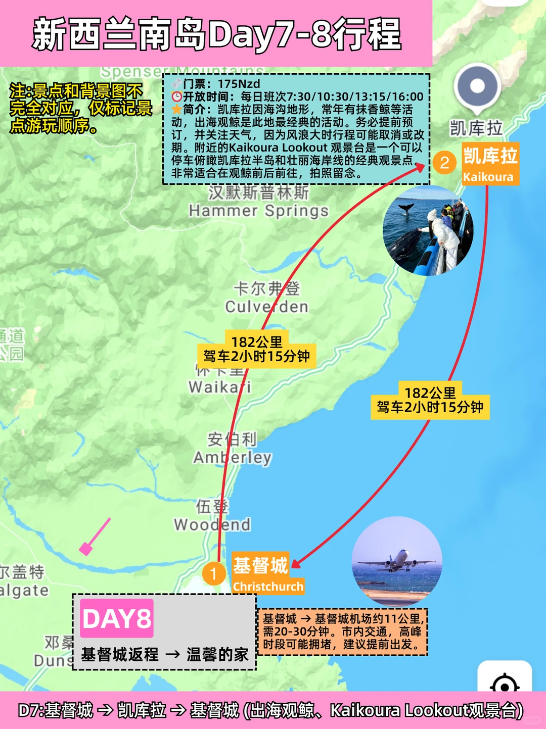 新西兰南岛8天保姆级攻略❗照着玩不绕路✨