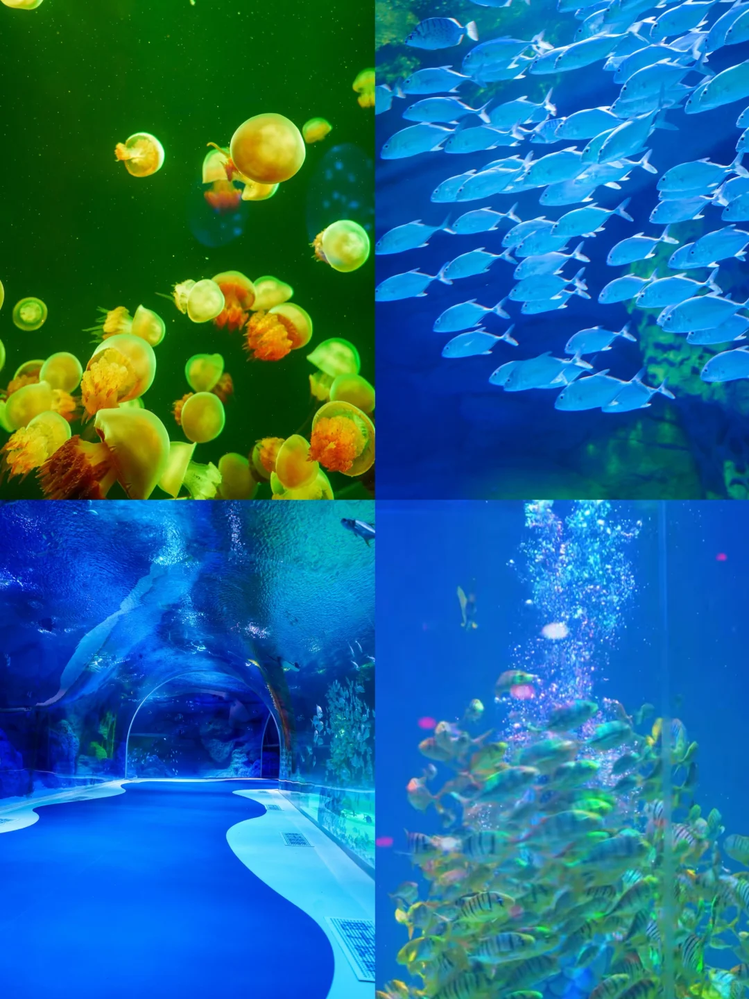 人均500💰哈尔滨3天2晚❄️自由行攻略（详细版