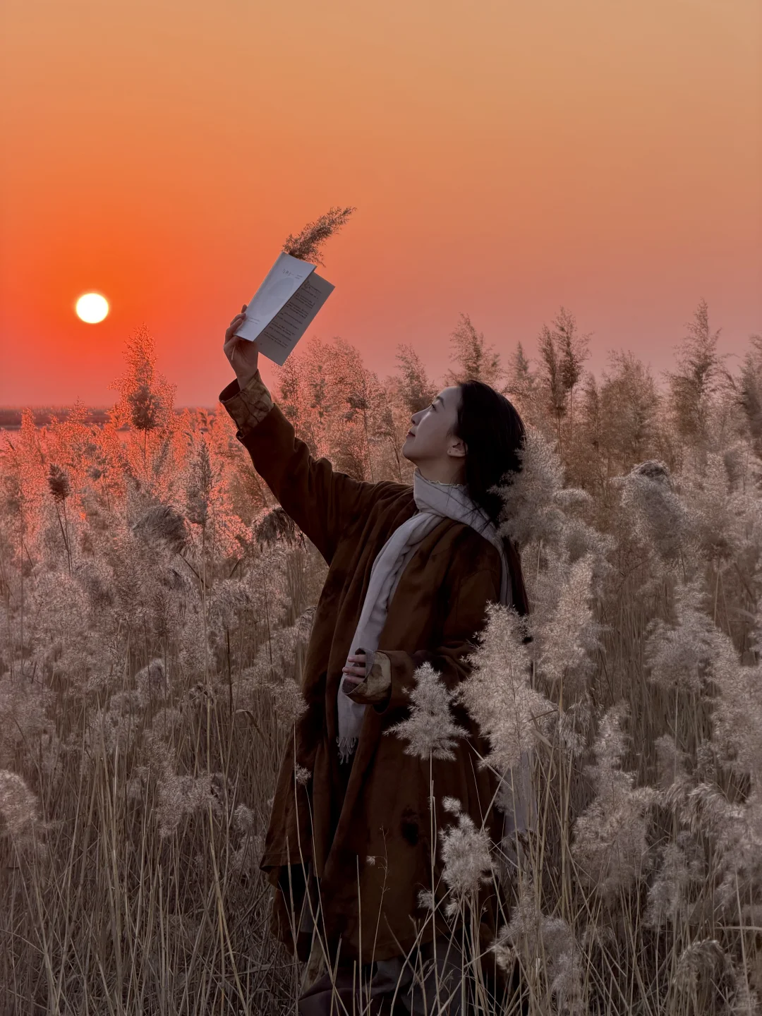 迄今为止 ，山东我最喜欢的小城出现了！！！