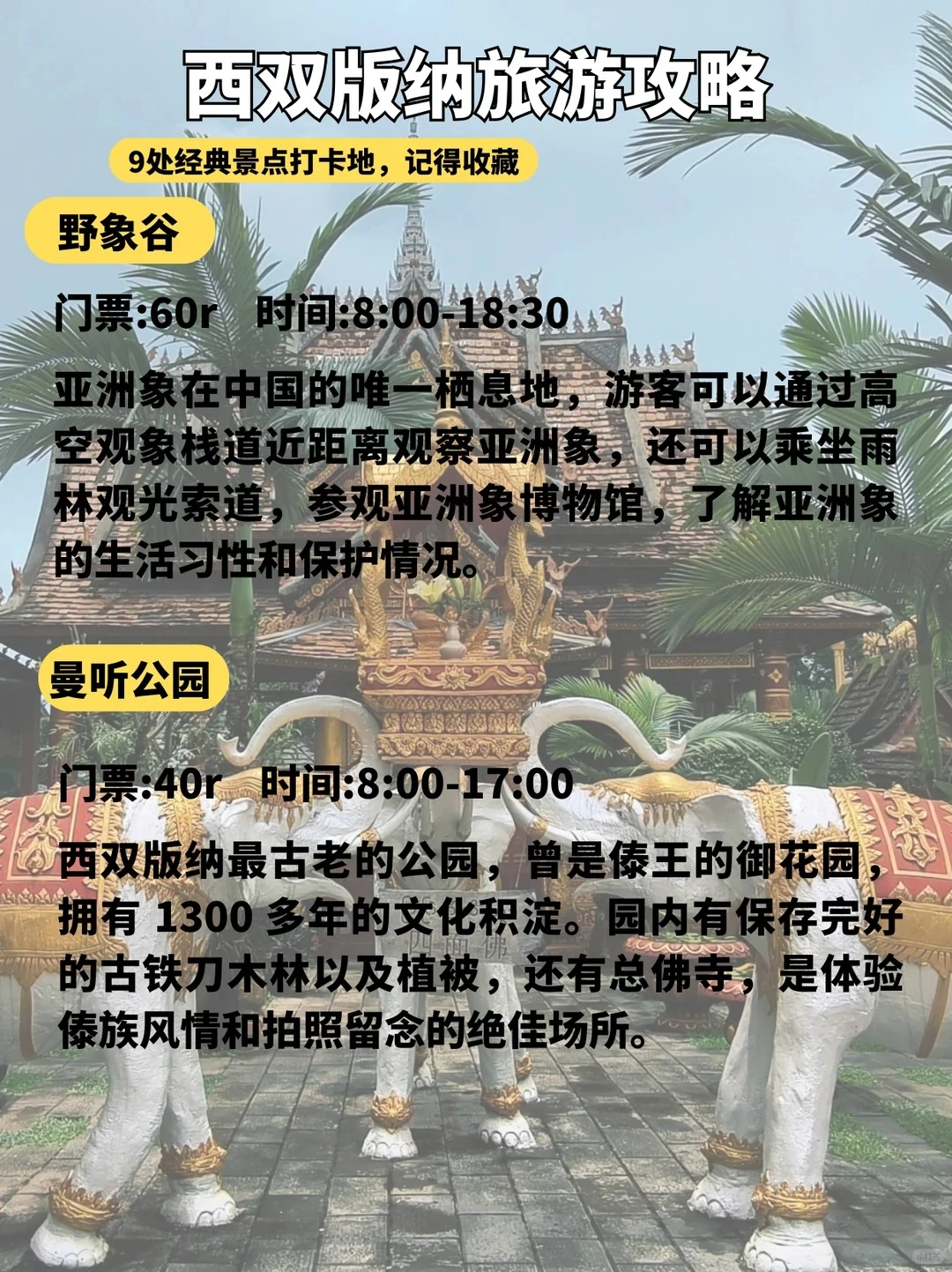 版纳这9个景点必打卡🔥第一来直接玩✨