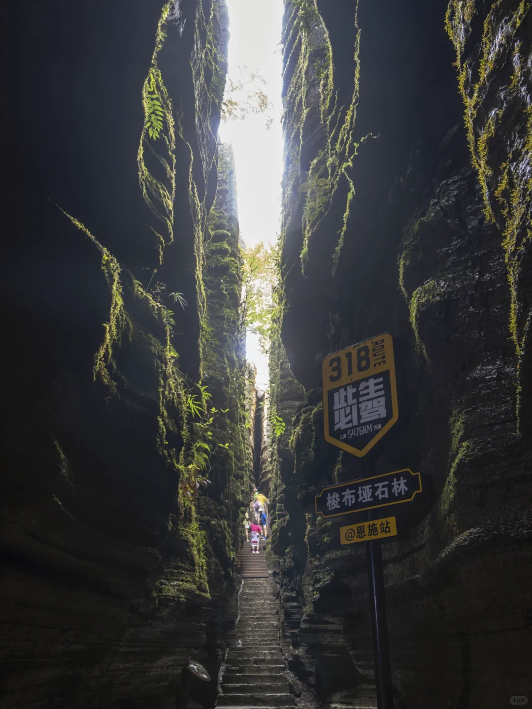 25年暑期亲子避暑胜地，平均气温20℃