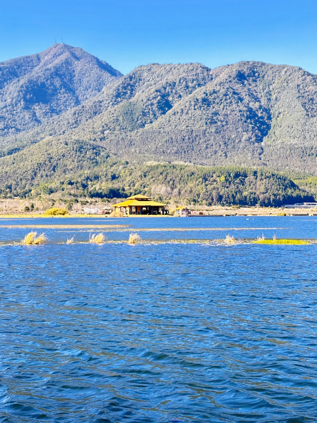 我们都喜欢玩不一样的地形 | 腾冲北海湿地