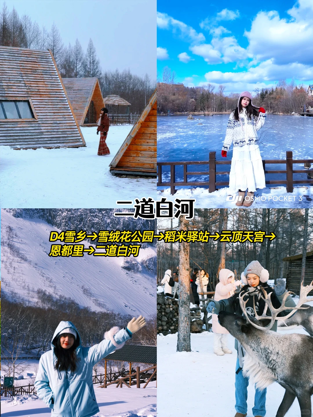 东北定制旅游🧣6天5晚纯玩环线↗️全程高能