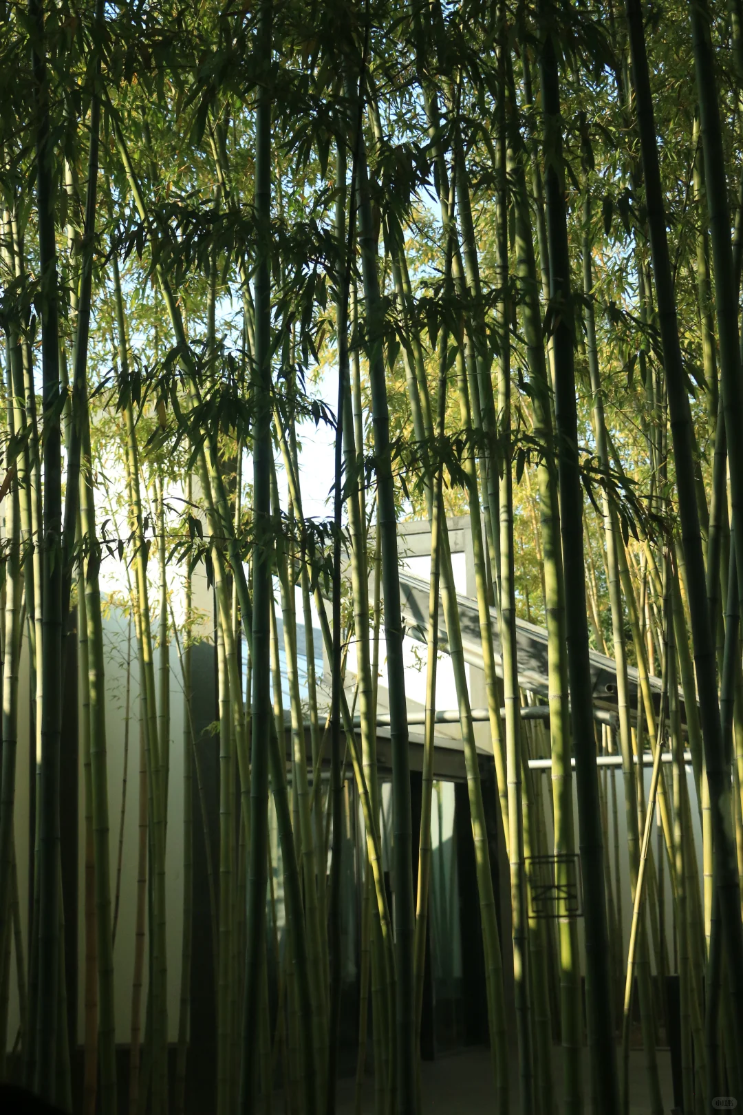 广东佬南京苏州旅游一星期总结