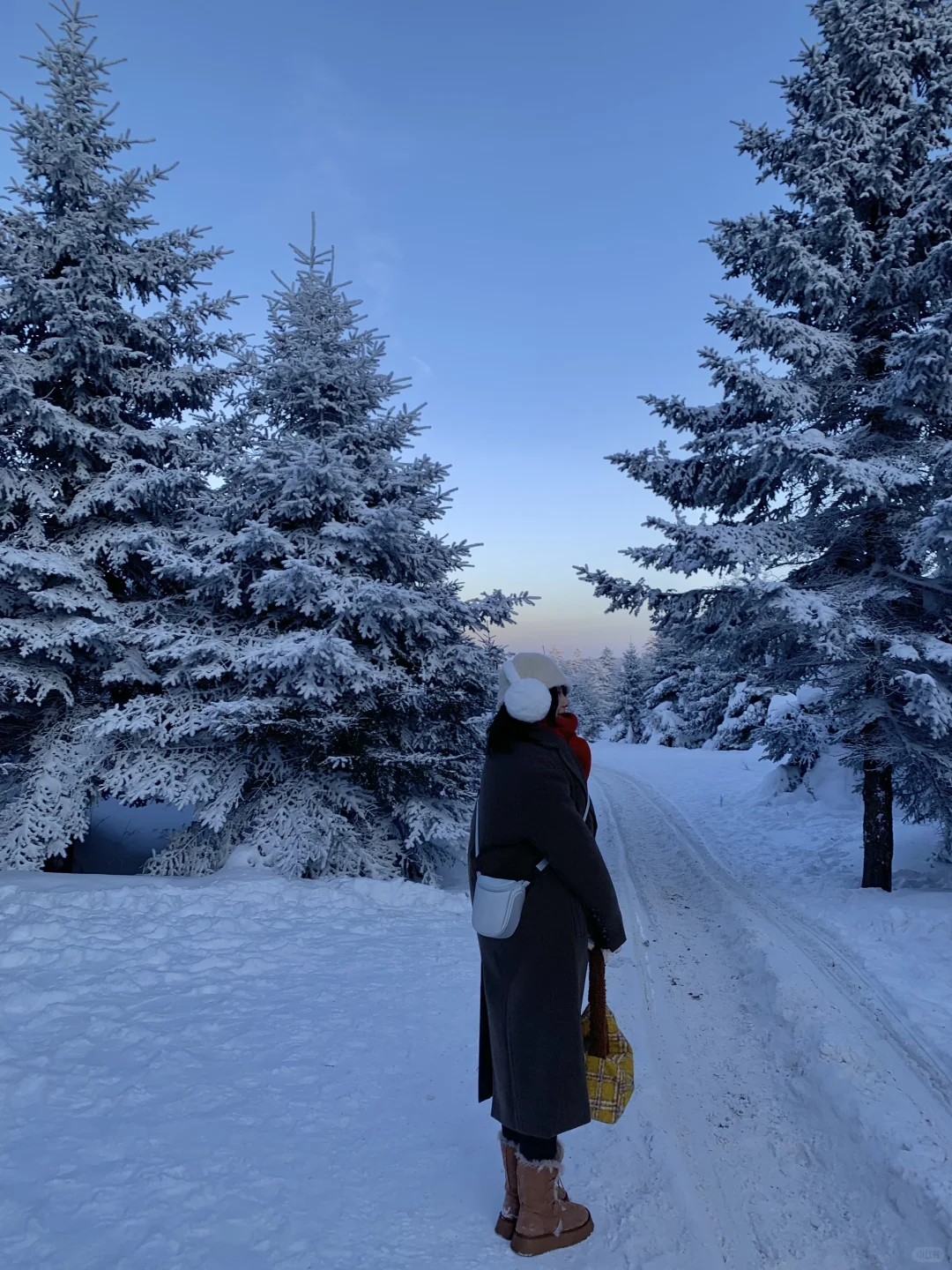 来雪岭玩千万别坐雪地摩托和马拉爬犁！！