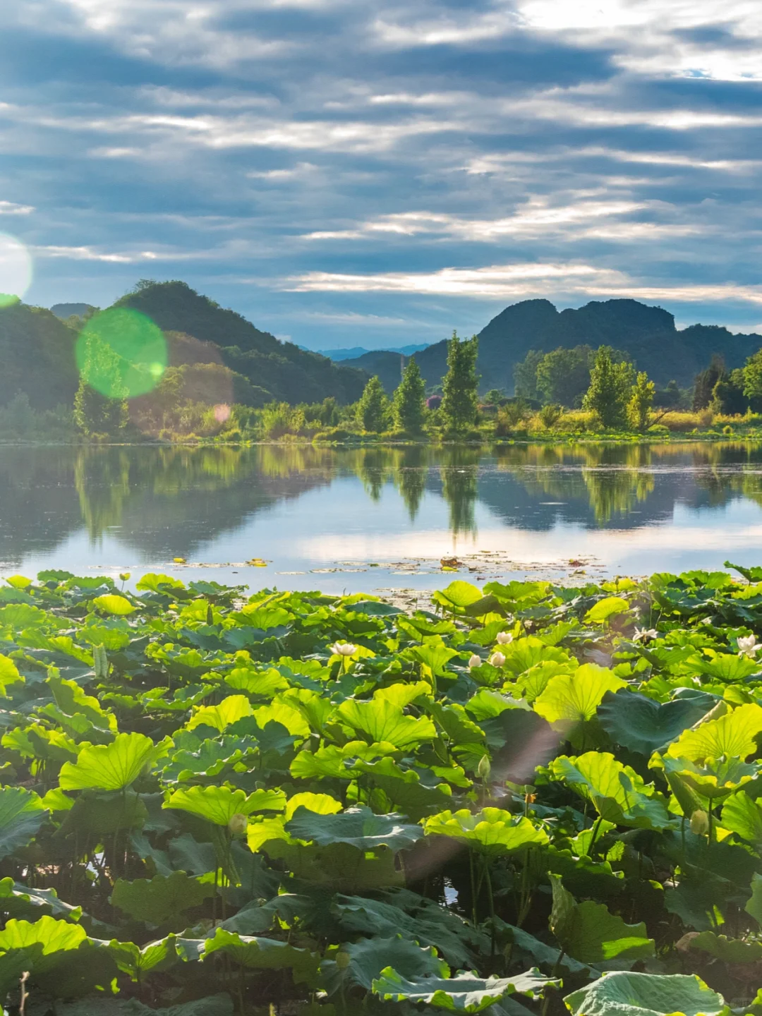 25年暑期亲子避暑胜地，平均气温20℃