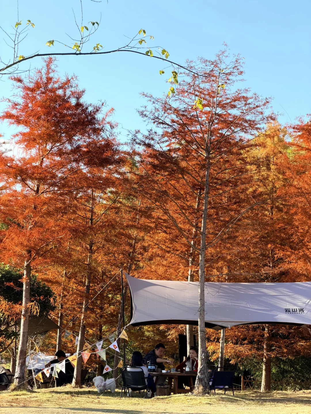 福建文旅，我劝你多宣传宣传古田翠屏湖！超美