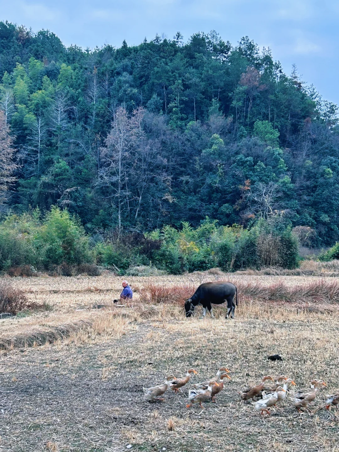 🚙皖南六天13个古村，最全旅游地图与推荐