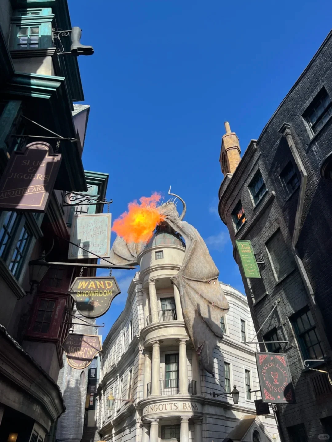 奥兰多9天8晚，寒假带娃必玩，可灵活调整