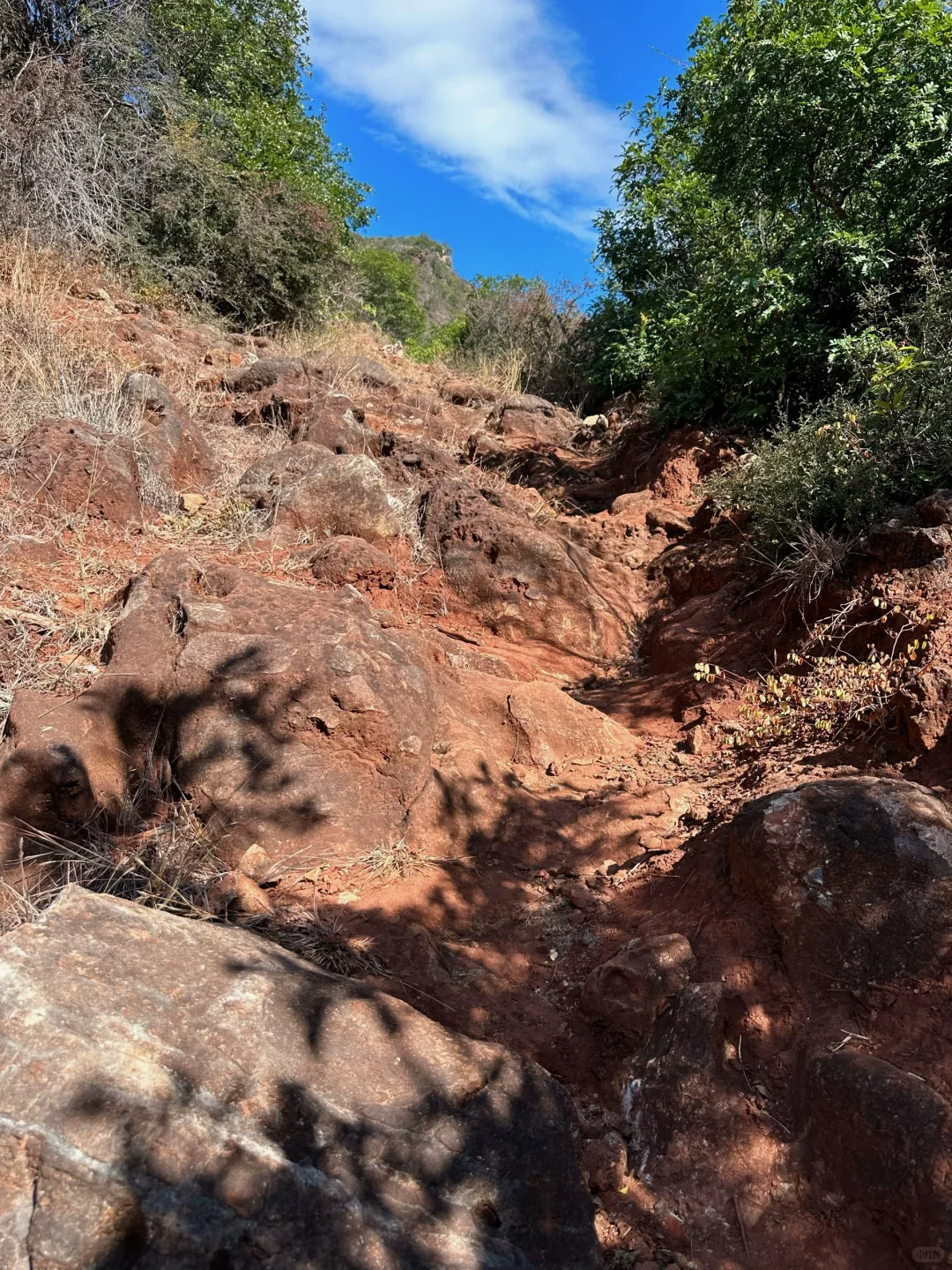 野温泉记|山洞里居然有个野温泉