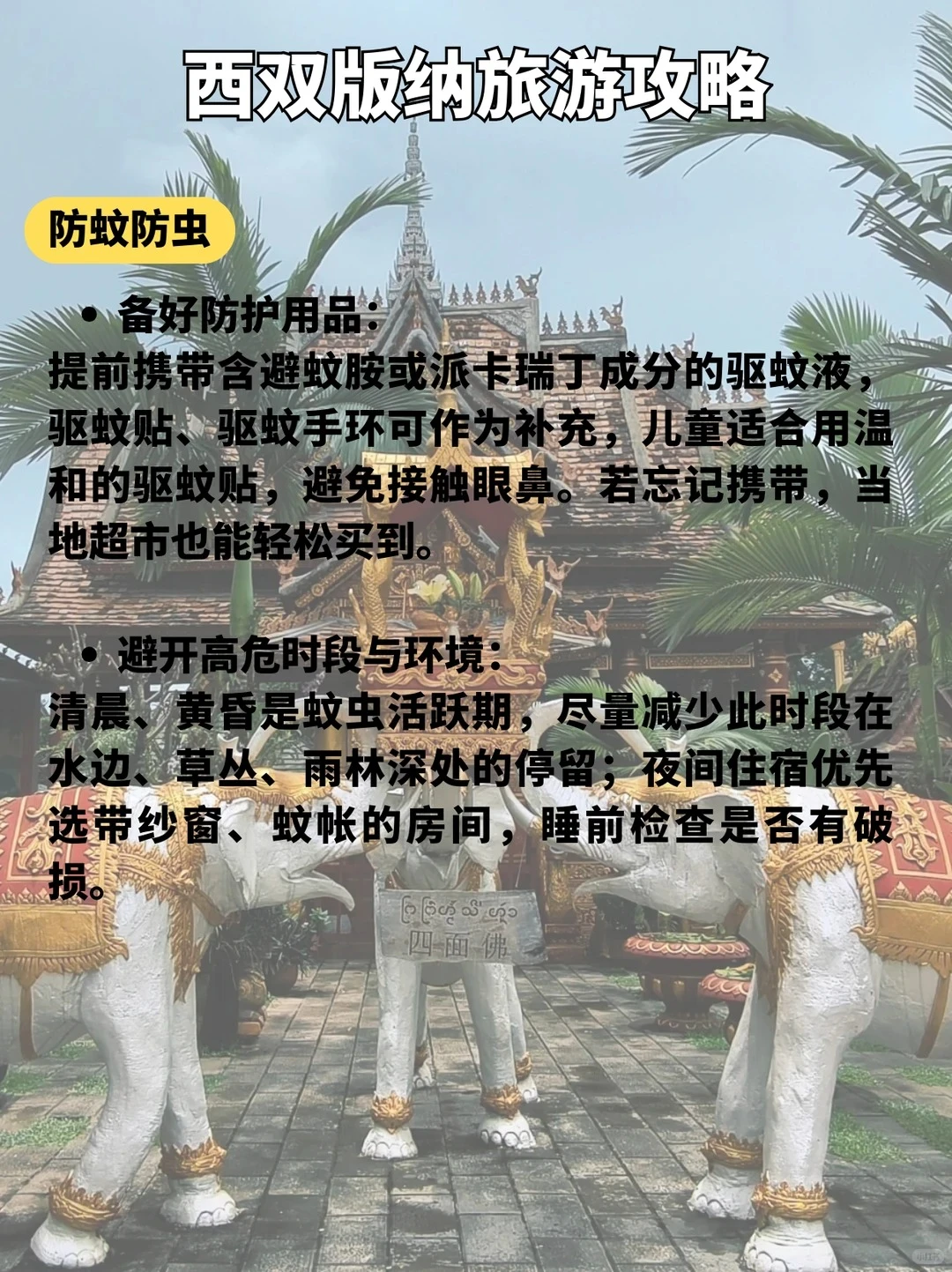 版纳这9个景点必打卡🔥第一来直接玩✨