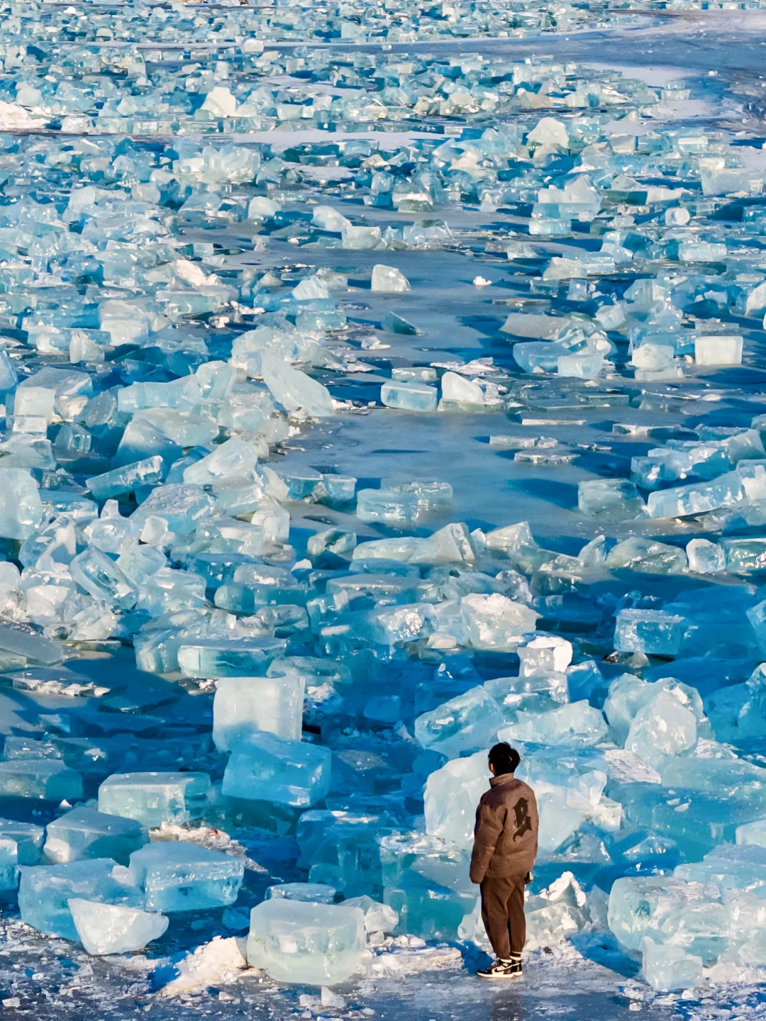 本地人推荐的哈尔滨3天2晚攻略！快码住！