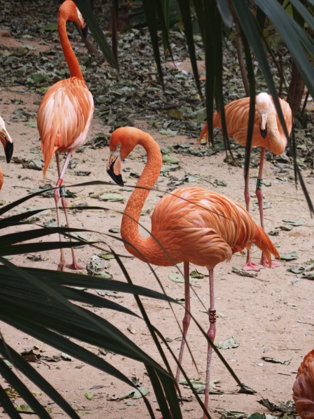 广东佬南京苏州旅游一星期总结