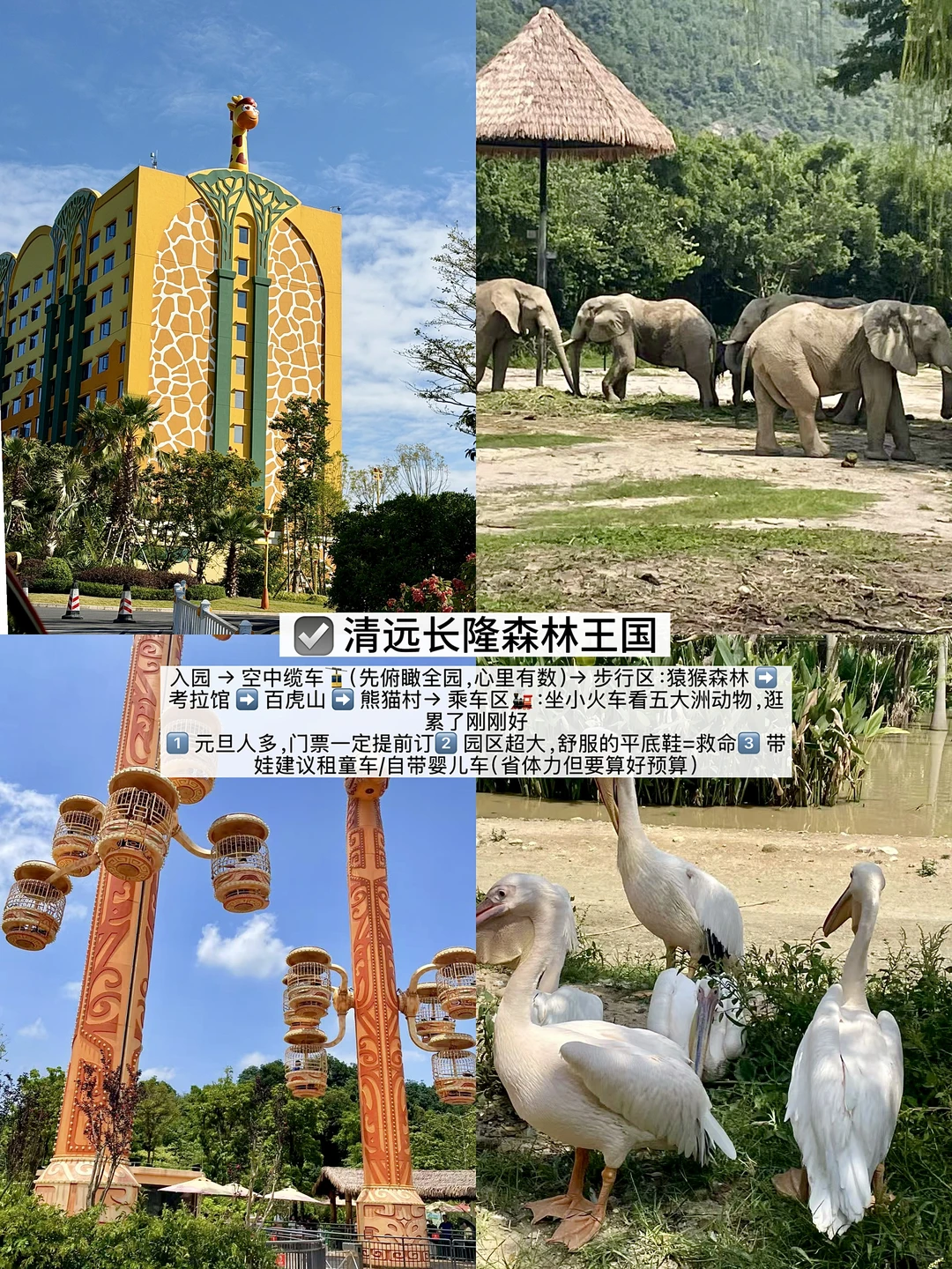 元旦冲清远长隆！这样玩不累不踩雷