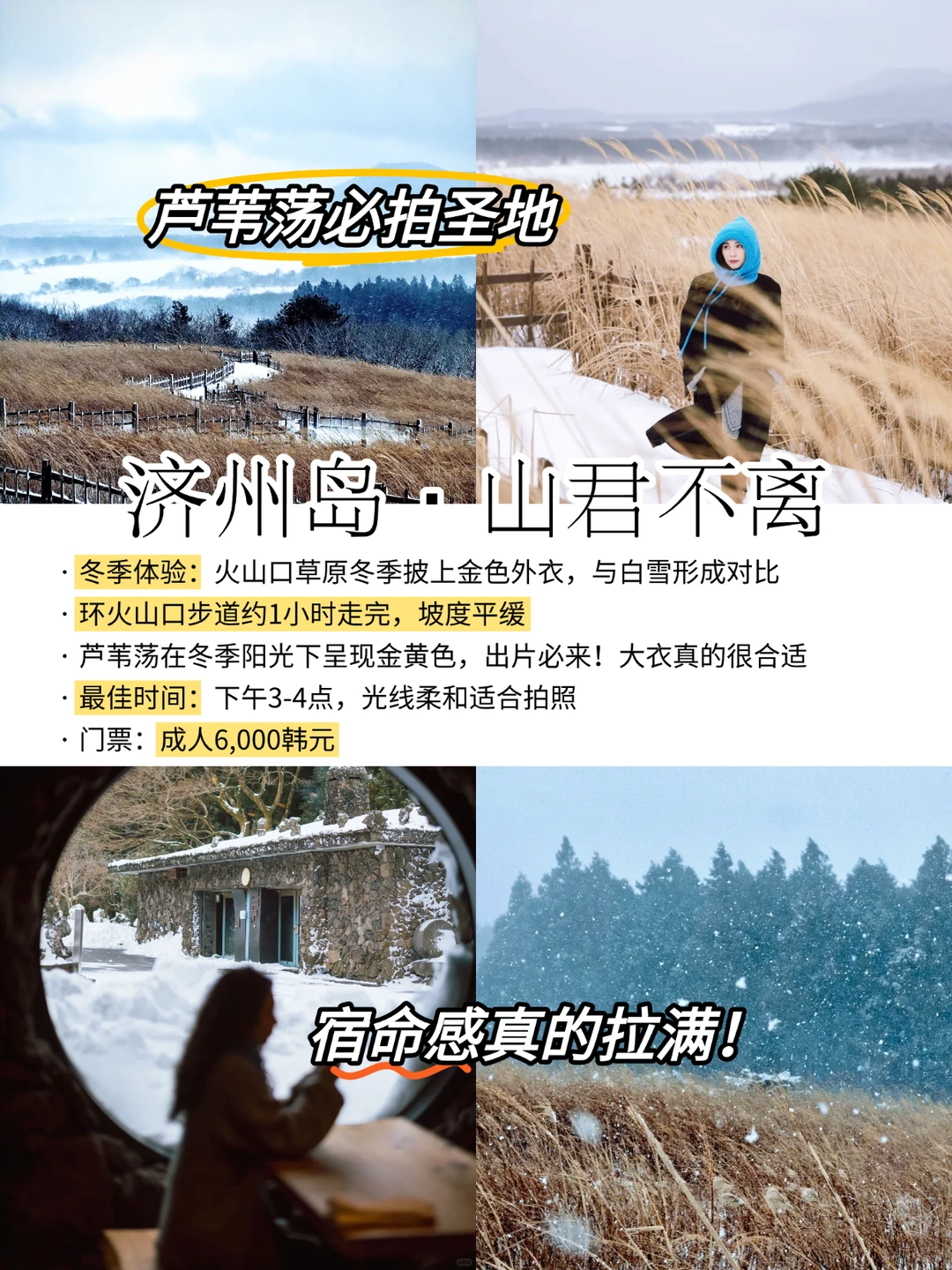 济州岛冬季必打卡景点攻略|码住👊