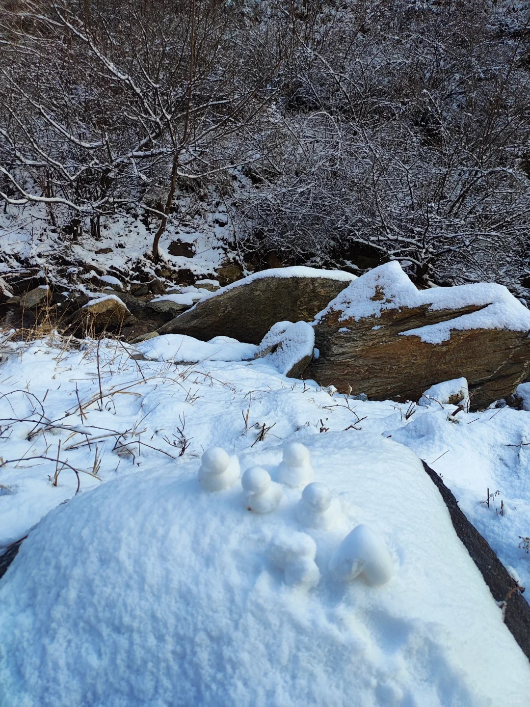 12.13徒步玩雪0元！玩美了！