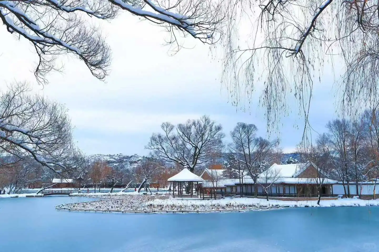 草原美食+纯玩|乌兰布统攻略