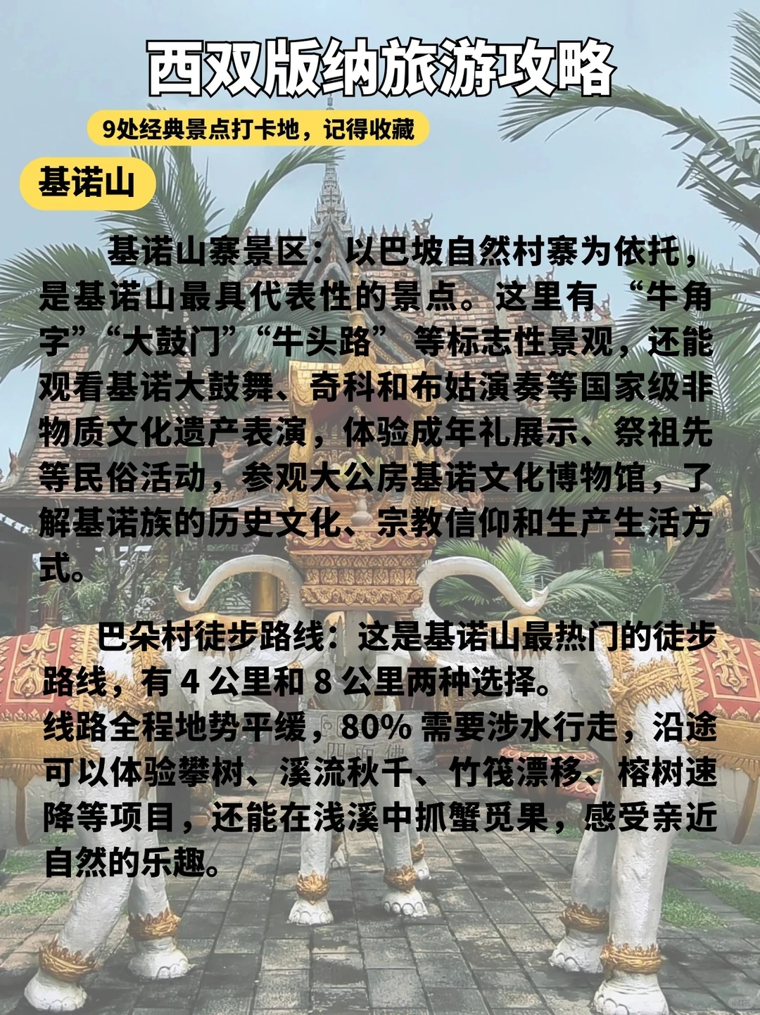 版纳这9个景点必打卡🔥第一来直接玩✨