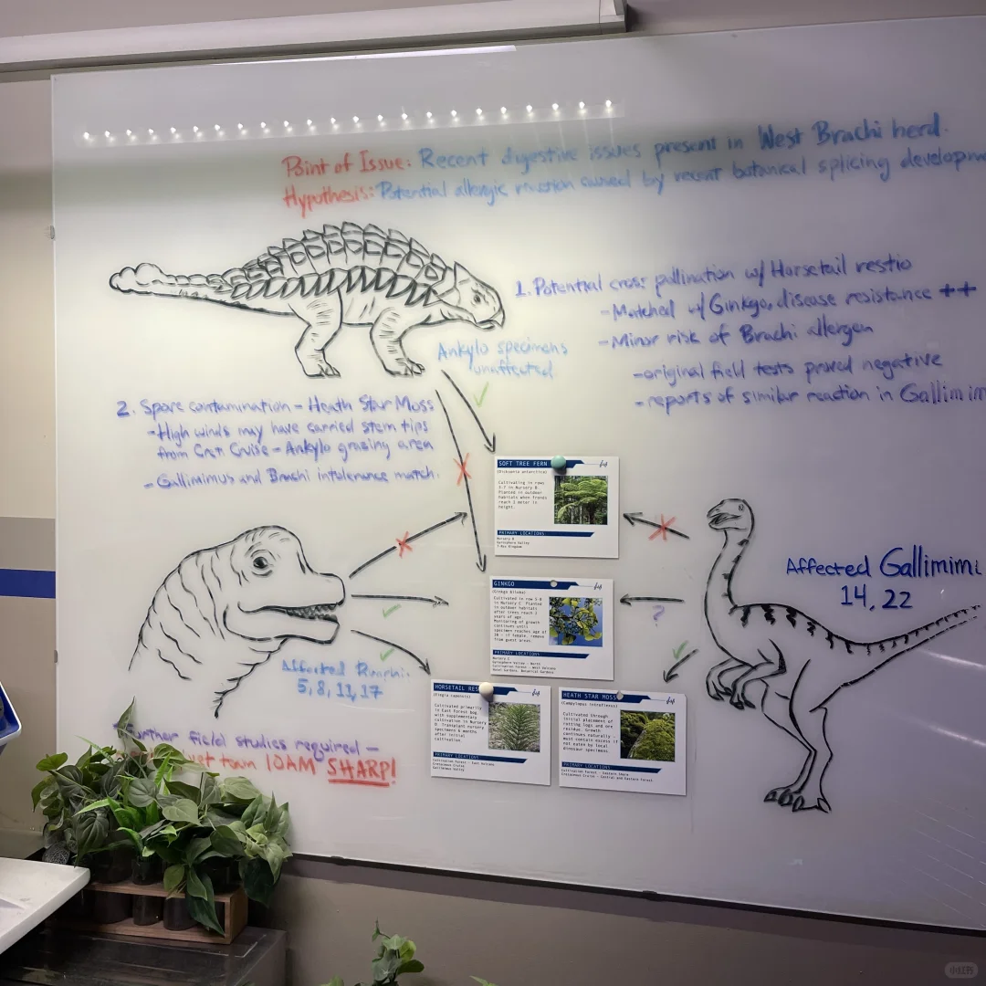 12.14北环新鲜最强玩后感