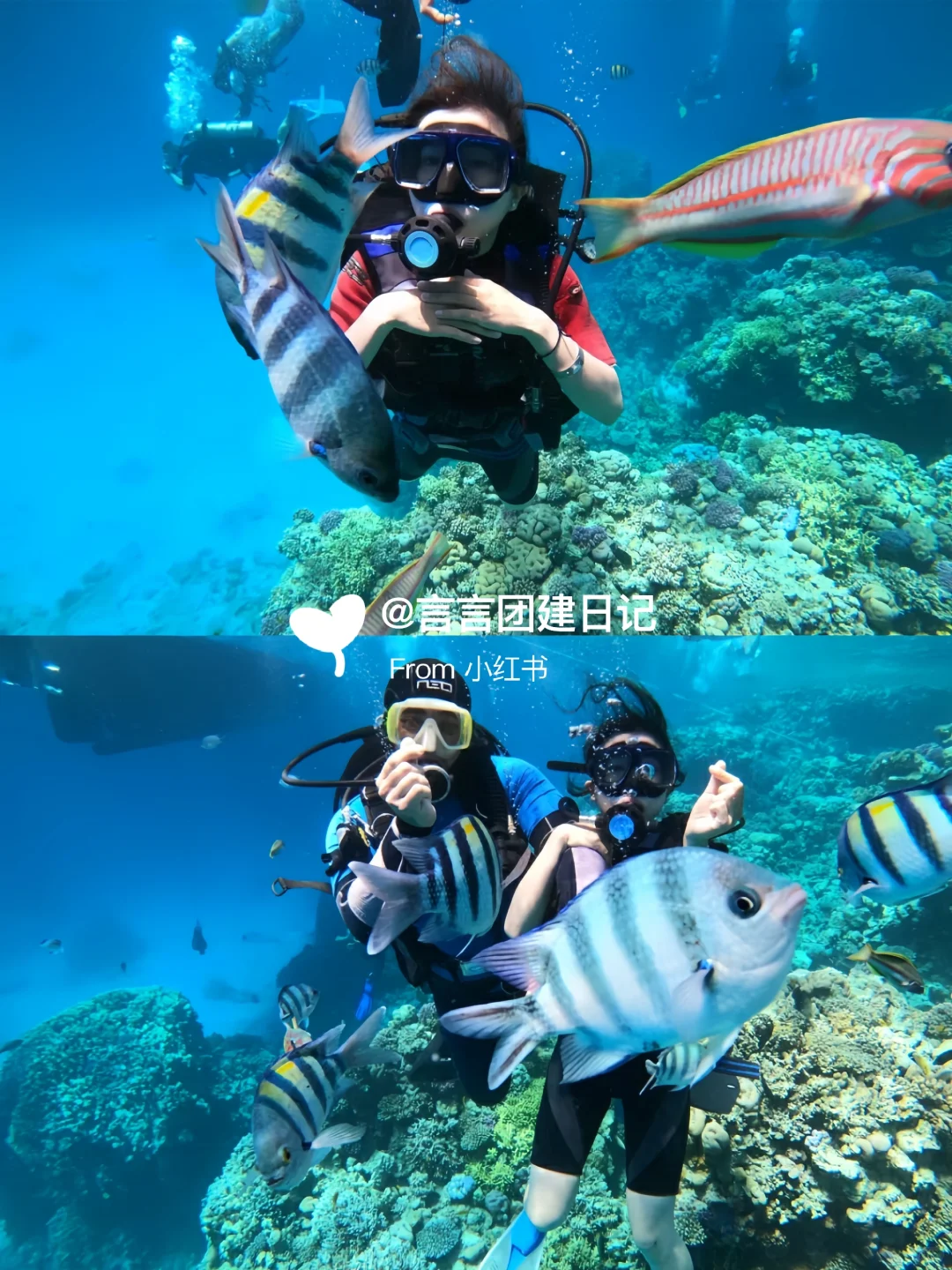 惠州📍双月湾团建两天一夜超多玩法🏕HR必看