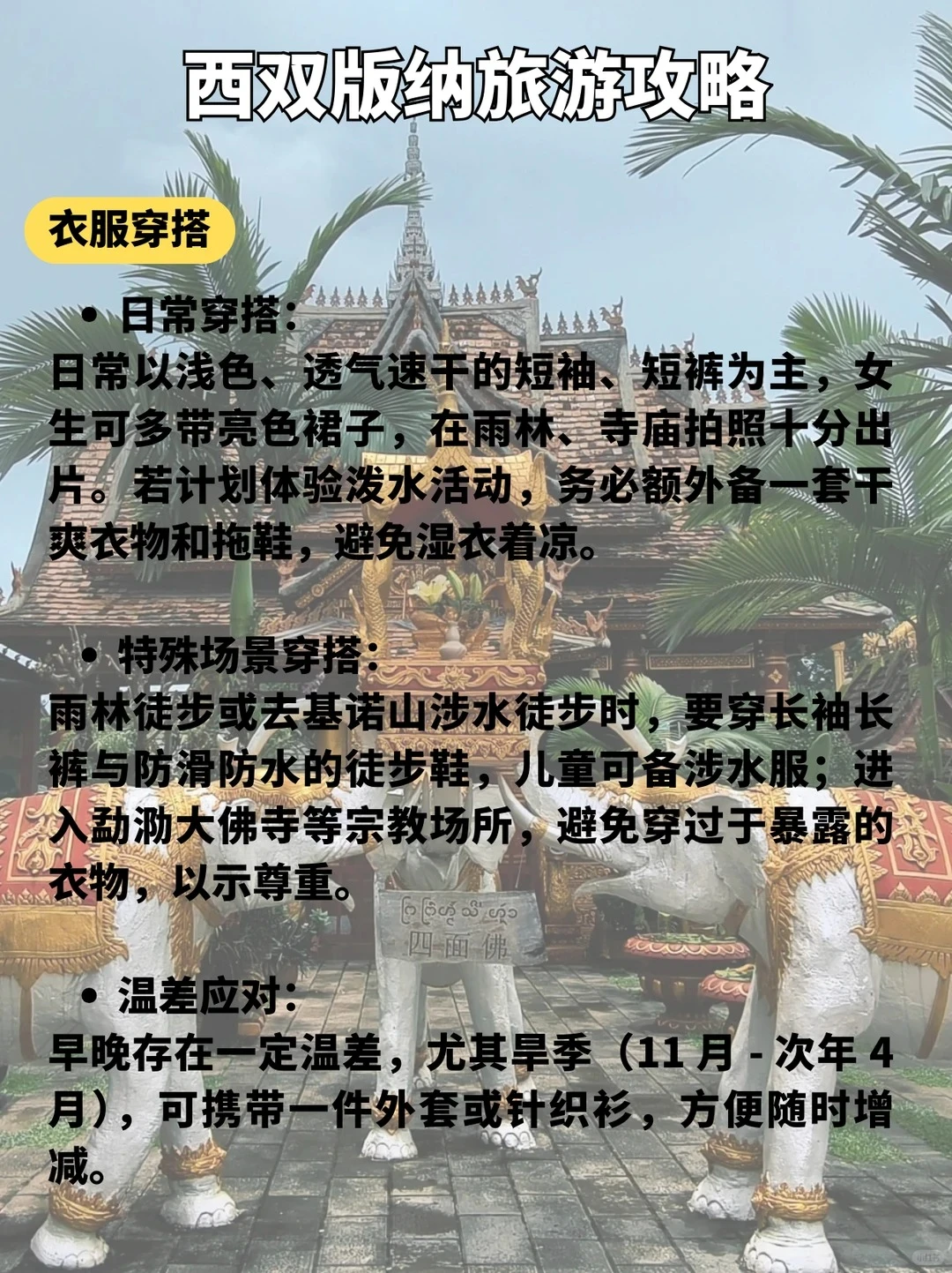 版纳这9个景点必打卡🔥第一来直接玩✨