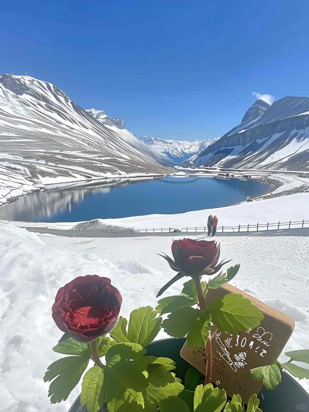 玩瑞士冬日童话❄5天4晚纯玩小团