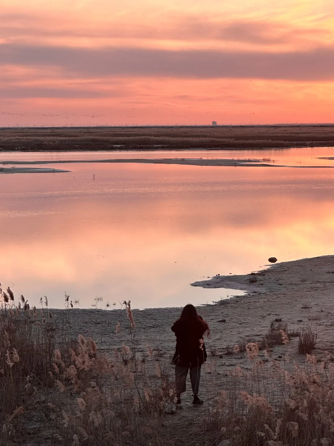 迄今为止 ，山东我最喜欢的小城出现了！！！