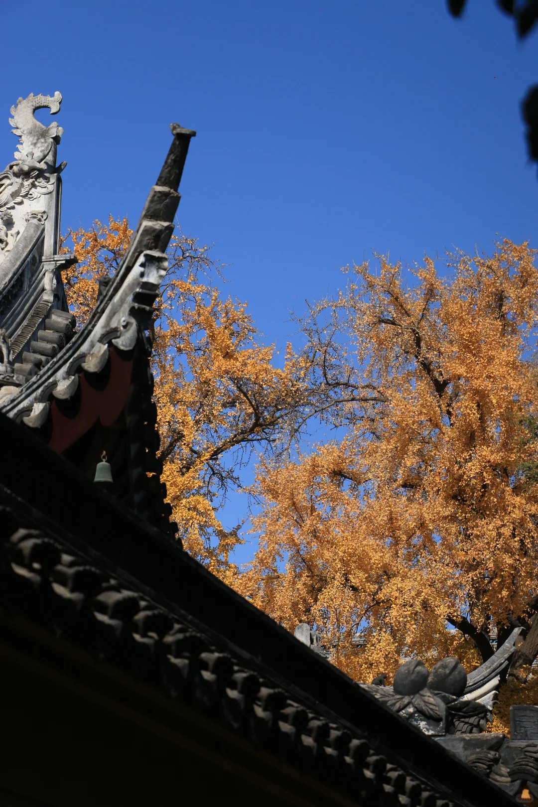 广东佬南京苏州旅游一星期总结