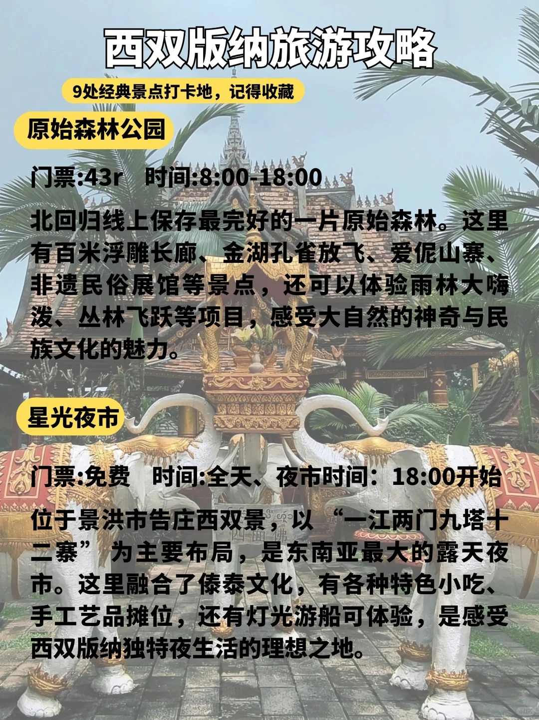 版纳这9个景点必打卡🔥第一来直接玩✨