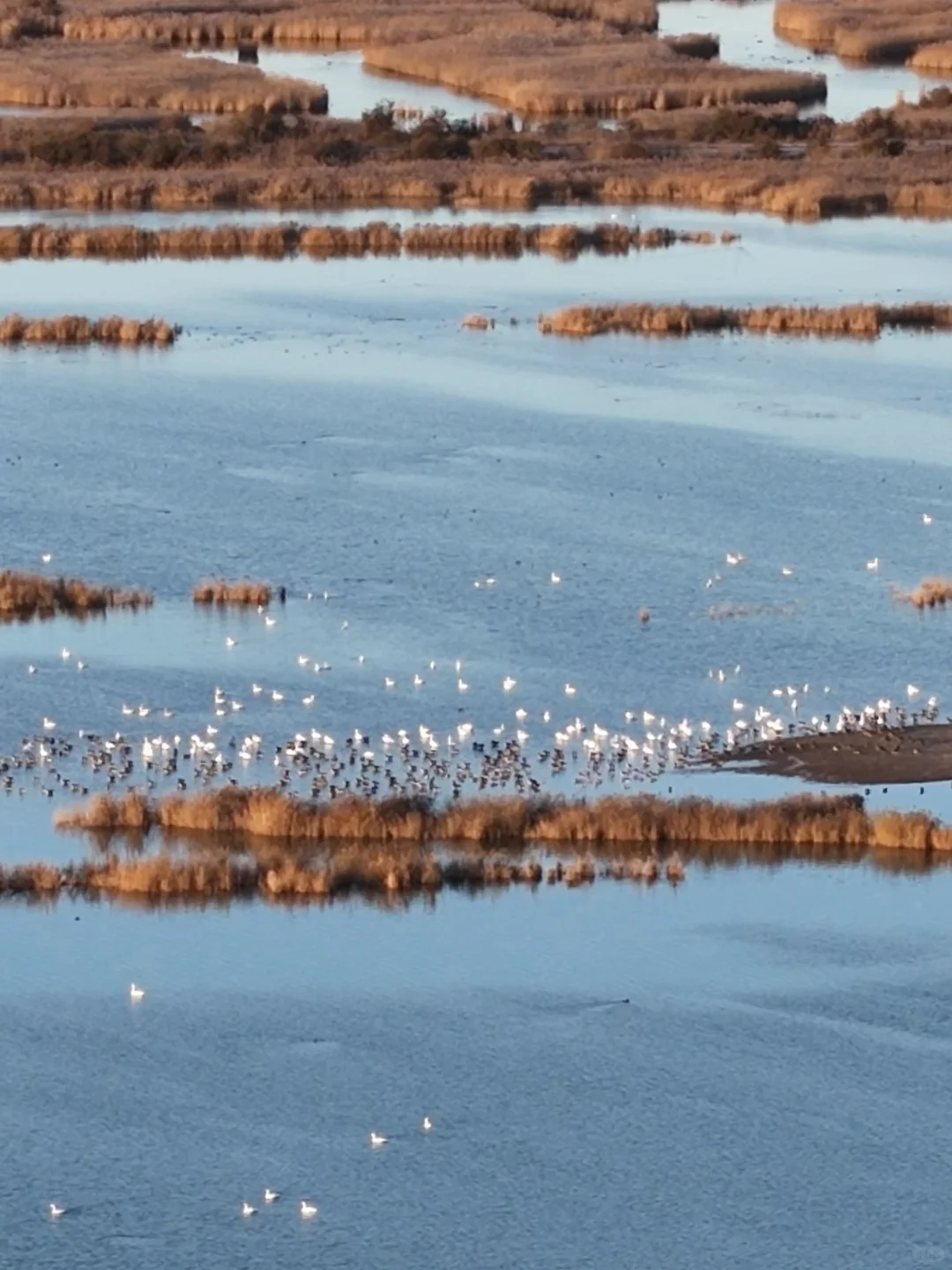 迄今为止 ，山东我最喜欢的小城出现了！！！