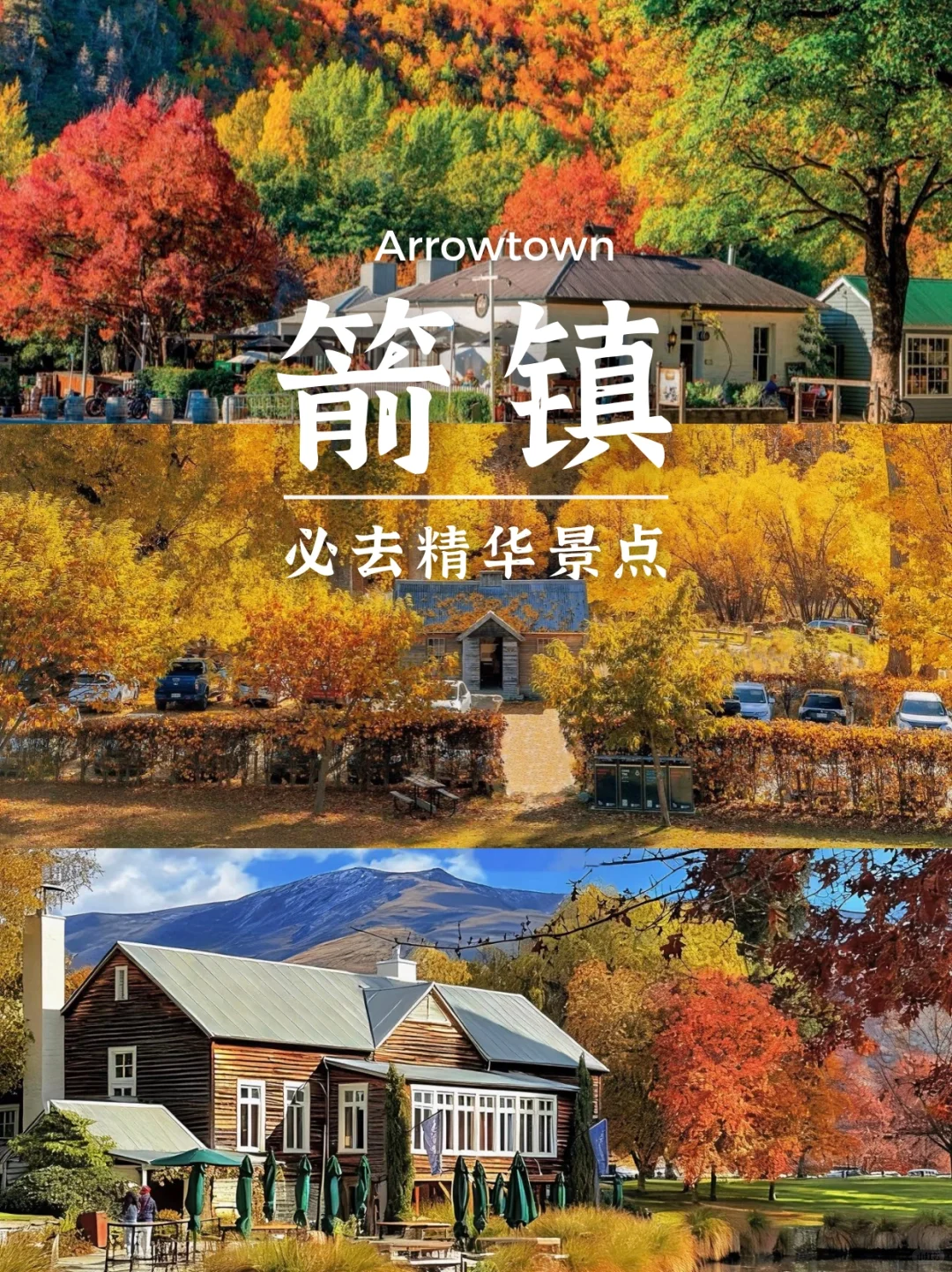 新西兰南岛8天保姆级攻略❗照着玩不绕路✨