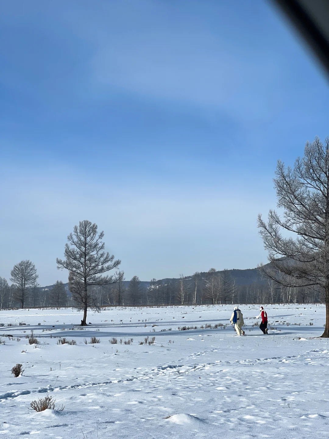 2025 年元旦好去处🎉阿尔山三日保姆级攻略